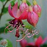 shabakebehdashttoneka | Unsorted