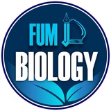 fumbiology | Неотсортированное