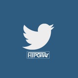 hipgraytwitter | Unsorted