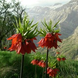 nasimdena | Unsorted