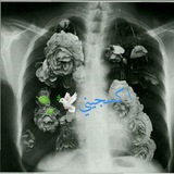 myoxygen | Unsorted