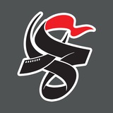 ammarfest | Неотсортированное