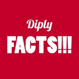 diplyfacts | Unsorted