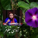 avaynilofar | Unsorted