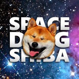 spacedogshiba | Unsorted