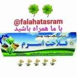 falahatasram | Неотсортированное