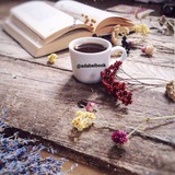 adabeibook | Unsorted