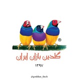 gouldian_finch | Unsorted