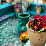 literatur0 | Неотсортированное
