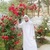 amin_abobassam | Unsorted