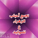 ahbabalzahrae2 | Unsorted