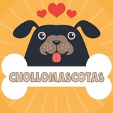 chollomascotas | Неотсортированное