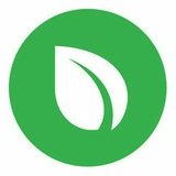 Peercoin×Discord