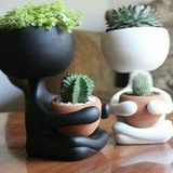 cactuskaala | Unsorted