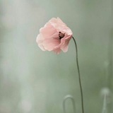 aa_302 | Unsorted