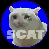 sadcattoken | Unsorted