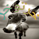 khar_toooo_khar | Unsorted