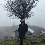 jafarshiralinia | Unsorted