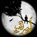 أمير القمر 👑🌙Moon's Prince