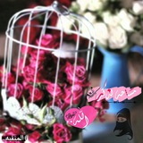 i_love_you_alah | Unsorted