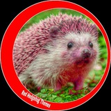 Red Hedgehog Themes