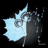 honarsaraamiri | Unsorted