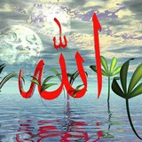یا فاطمه زهرا (س ) عکس ومتن