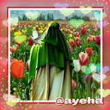 ayeha | Unsorted