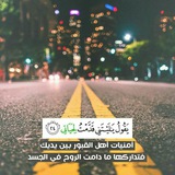 alkemal | Unsorted