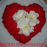 nilooshirin | Unsorted