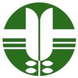 doenews | Неотсортированное