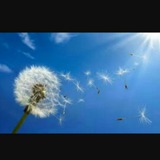 drzandiehasthma | Unsorted