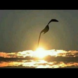 tulook | Unsorted