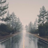 latayas | Unsorted