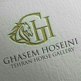 tehran_horse_gallery | Unsorted