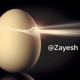 zayesh | Unsorted