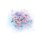 baa2xx | Unsorted