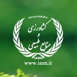 iann_news | Unsorted