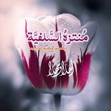 muntazh_alssalafiya | Unsorted