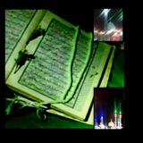 mahdiifatemeh313 | Неотсортированное