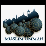 quotes4ummah | Unsorted