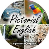 pictorial_english | Unsorted