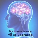 neurocognitionandlearning | Unsorted