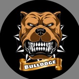 kingbulldoge | Unsorted