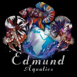 edmundaquatics | Unsorted