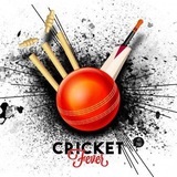 Fantasy Cricket Team