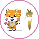 olympicdogechina1 | Unsorted