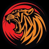 tigertokenfinance | Unsorted