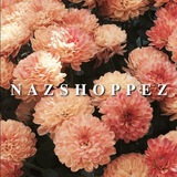 nazshoppezofficial | Unsorted