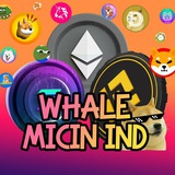 whalemicincalls | Unsorted